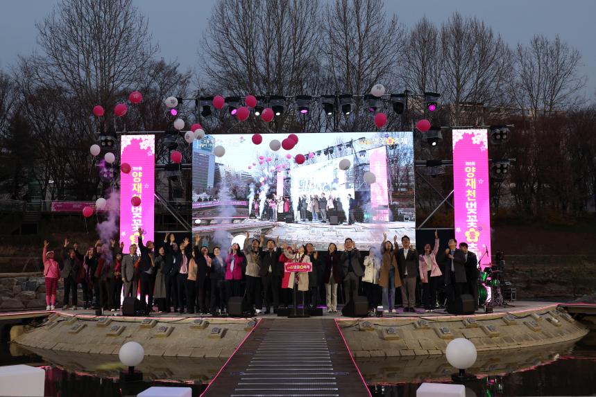 제8회 양재천 벚꽃등축제