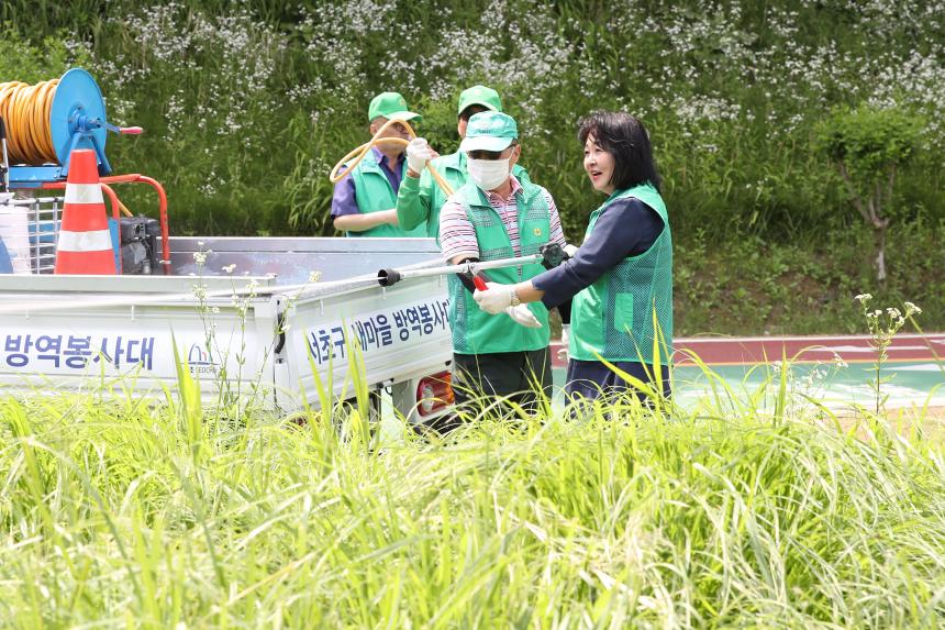새마을지도자 방역봉사대 발진식